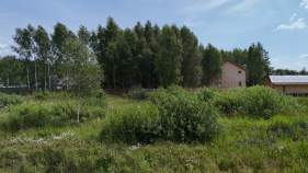 Покупка участок 8.0 соток , фотография 3