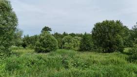 Продать участок 6.0 соток Московская обл, г Чехов, село Новоселки Продать участок 6.0 соток , фотография 2