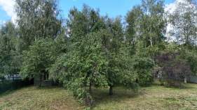 Купить участок 8.5 соток , фотография 7