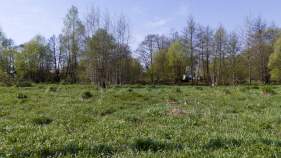 Куплю участок 15.0 соток , фотография 4