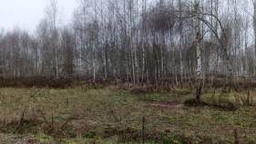 Покупка участок 7.3 соток , фотография 3