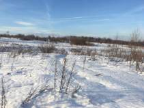 Куплю участок 9.0 соток , фотография 4