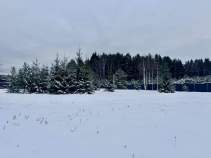 Купить участок 20.0 соток , фотография 5