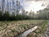 Купить участок 10.7 соток , фотография 13