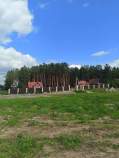 Покупка участок 10.0 соток , фотография 3