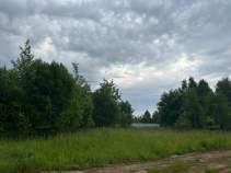 Покупка участок 12.0 соток , фотография 3