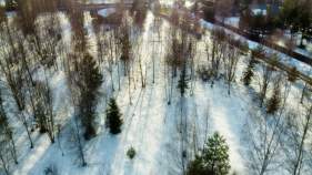 Цена на участок 12.5 соток , фотография 1