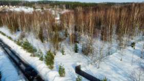 Покупка участок 25.9 соток , фотография 3