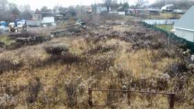 Покупка участок 12.0 соток , фотография 3