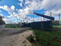Покупка участок 6.0 соток , фотография 3