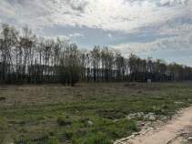 Куплю участок 10.0 соток , фотография 4