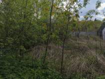 Купить участок 10.0 соток , фотография 6