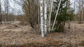 Продать участок 6.0 соток , фотография 2