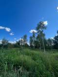 Продать участок 8.0 соток , фотография 2