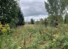 Земельный участок 8 соток. Московская обл, г Ступино, деревня Горки.