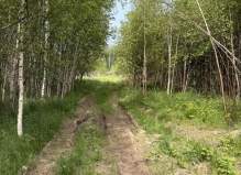 Земельный участок 10.0 соток, Чехов, город Чехов муниципальный округ, ул. ул. Сп...