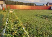 Земельный участок 12.0 соток, Домодедово, город Домодедово городской округ, ул....