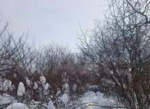 Земельный участок 19.0 соток, город Серпухов, ул. Московская обл., дом г.о. Серп...