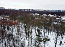 Земельный участок 23.0 соток, Чехов, деревня Масново-Жуково