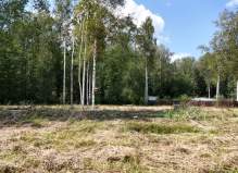 Земельный участок 12.0 соток, Серпухов, деревня Райсеменовское