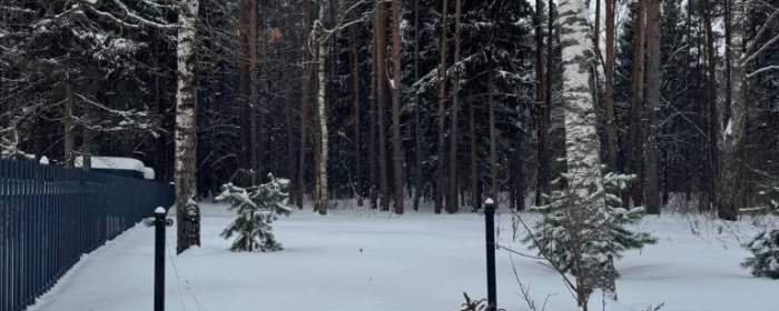 Последний участок 9 соток ИЖС у соснового леса Чеховский район — газ, электричество, пруд рядом, фотография