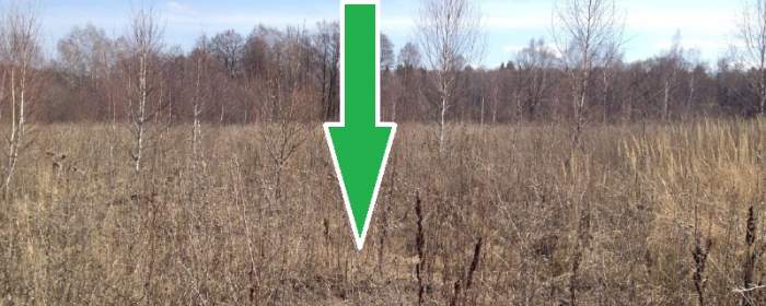 Земельный участок 25.9 соток Тарусский район ДНП Услимово, фотография