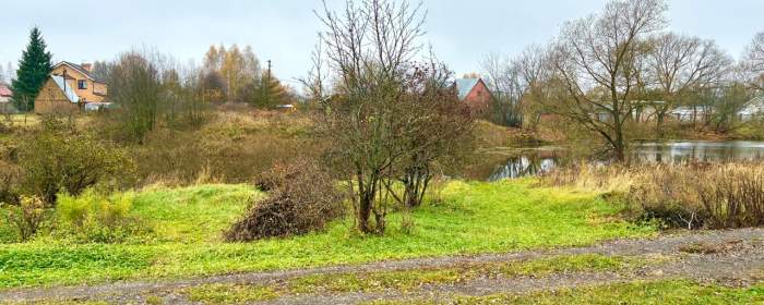 Земельный участок 9 соток ИЖС с выходом к пруду, деревня Алачково, Чеховский район, фотография